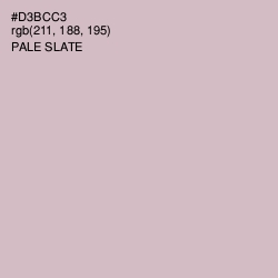 #D3BCC3 - Pale Slate Color Image